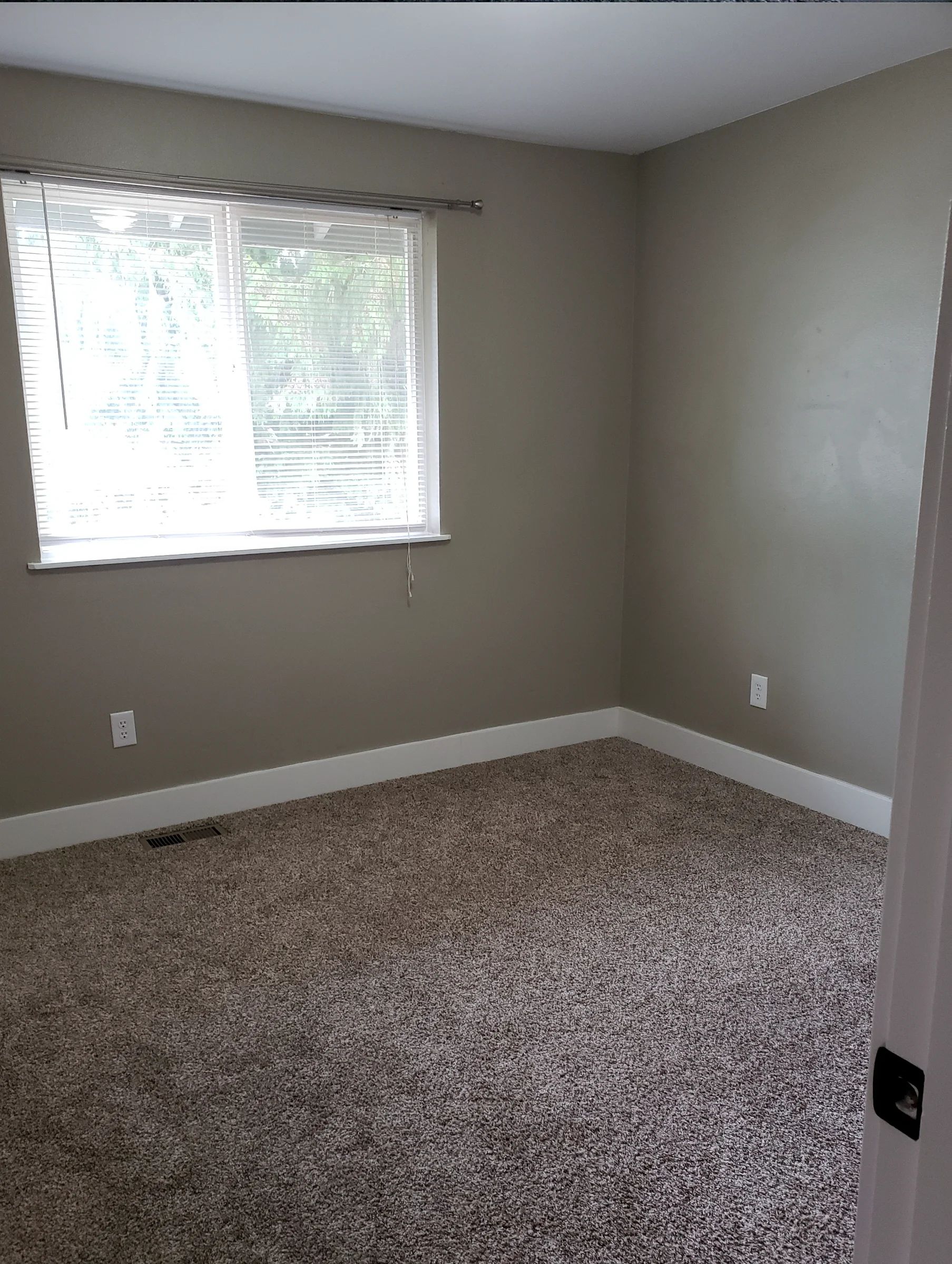 Private room in dog-friendly Everett house
